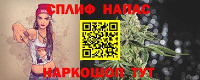 сатива Абинск