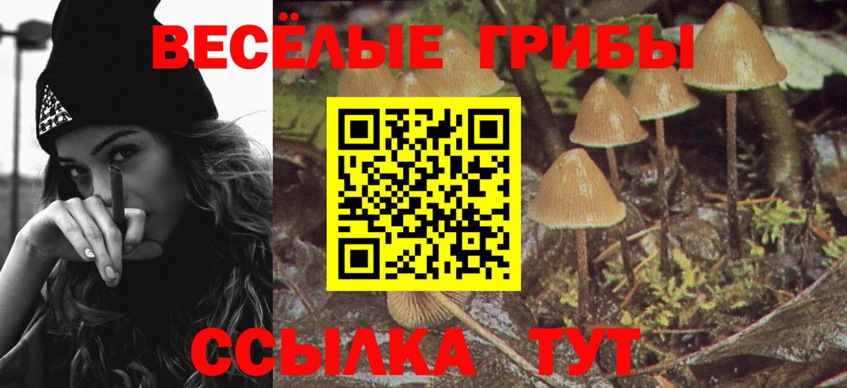 Абинск  Галлюциногенные грибы Psilocybine cubensis  Вход с VPN 