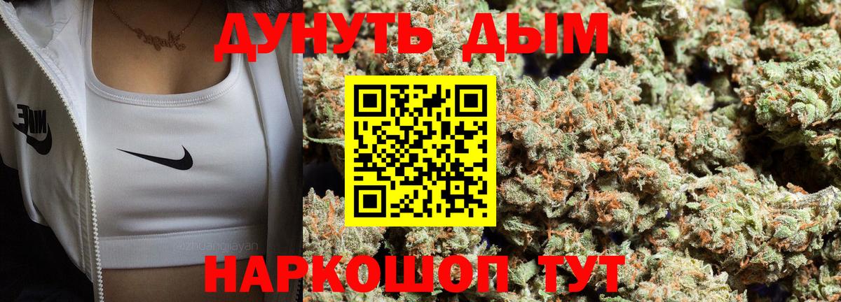 Конопля сатива Абинск